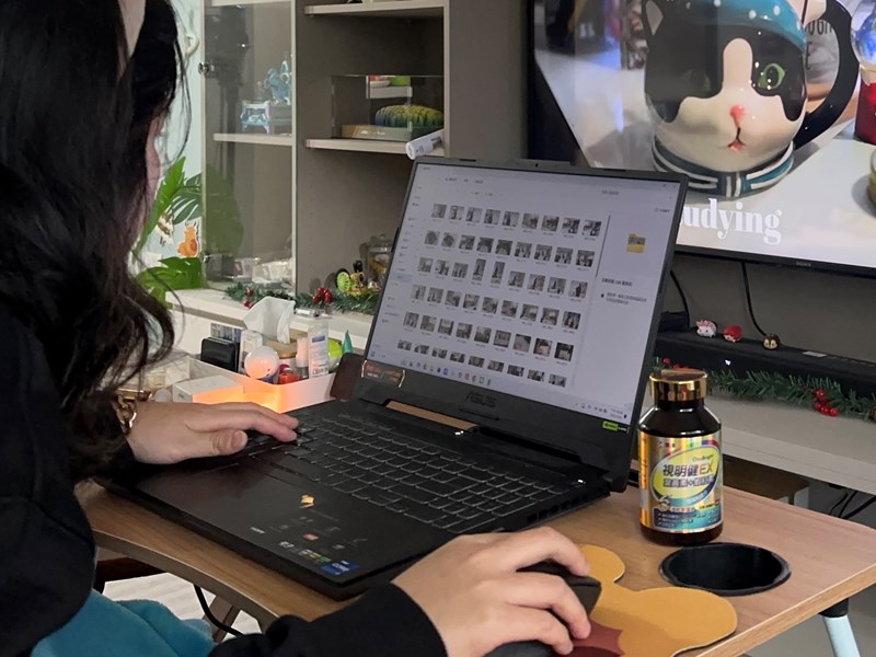 試用